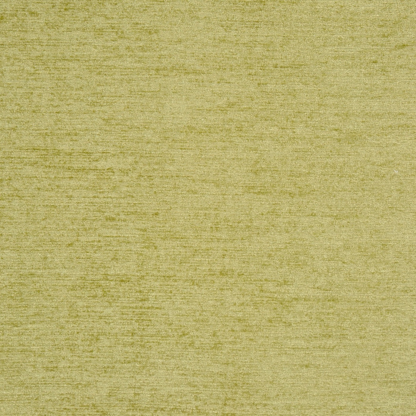 Anderson Wasabi