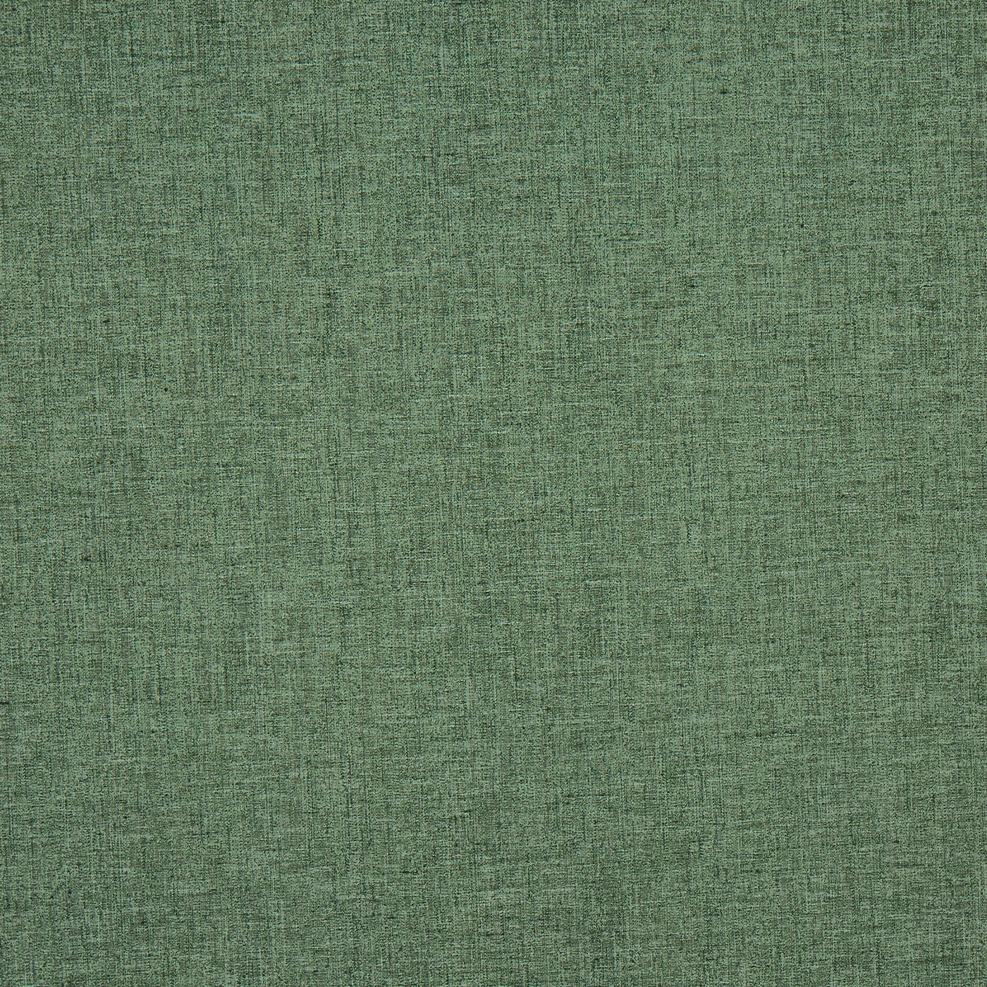 Nimbus Forest