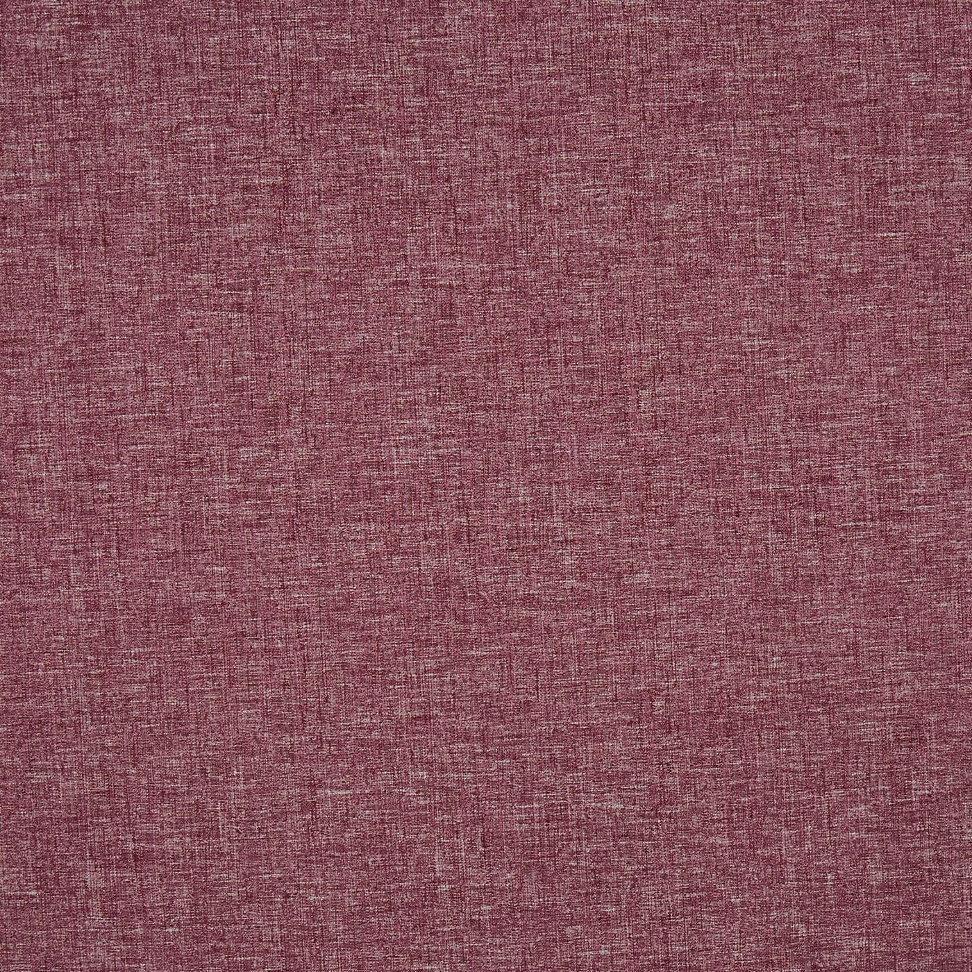 Nimbus Plum