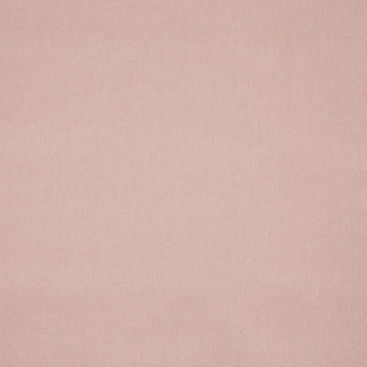 Buxton Blush