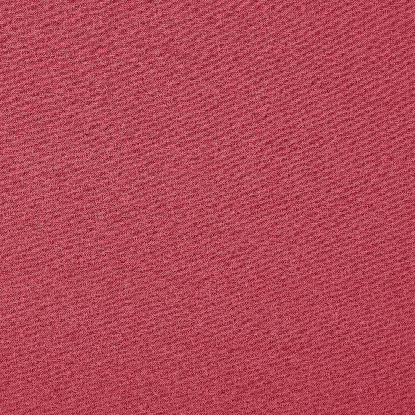 Style Raspberry