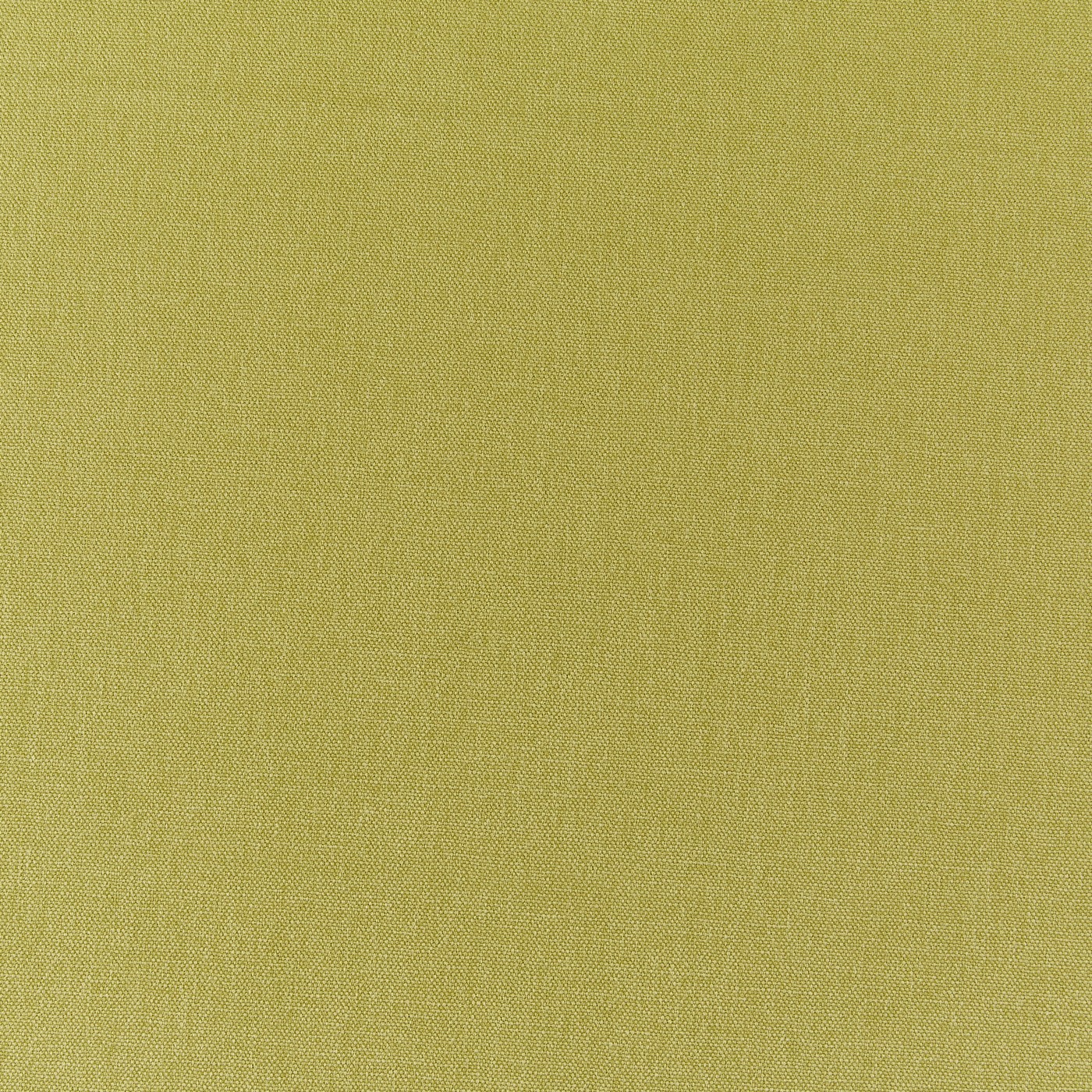 Style Kiwi