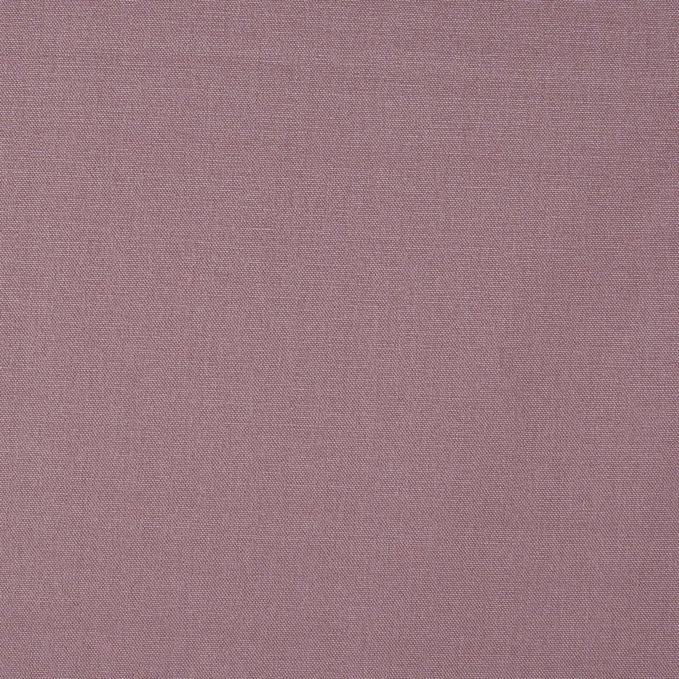 Style Lavender