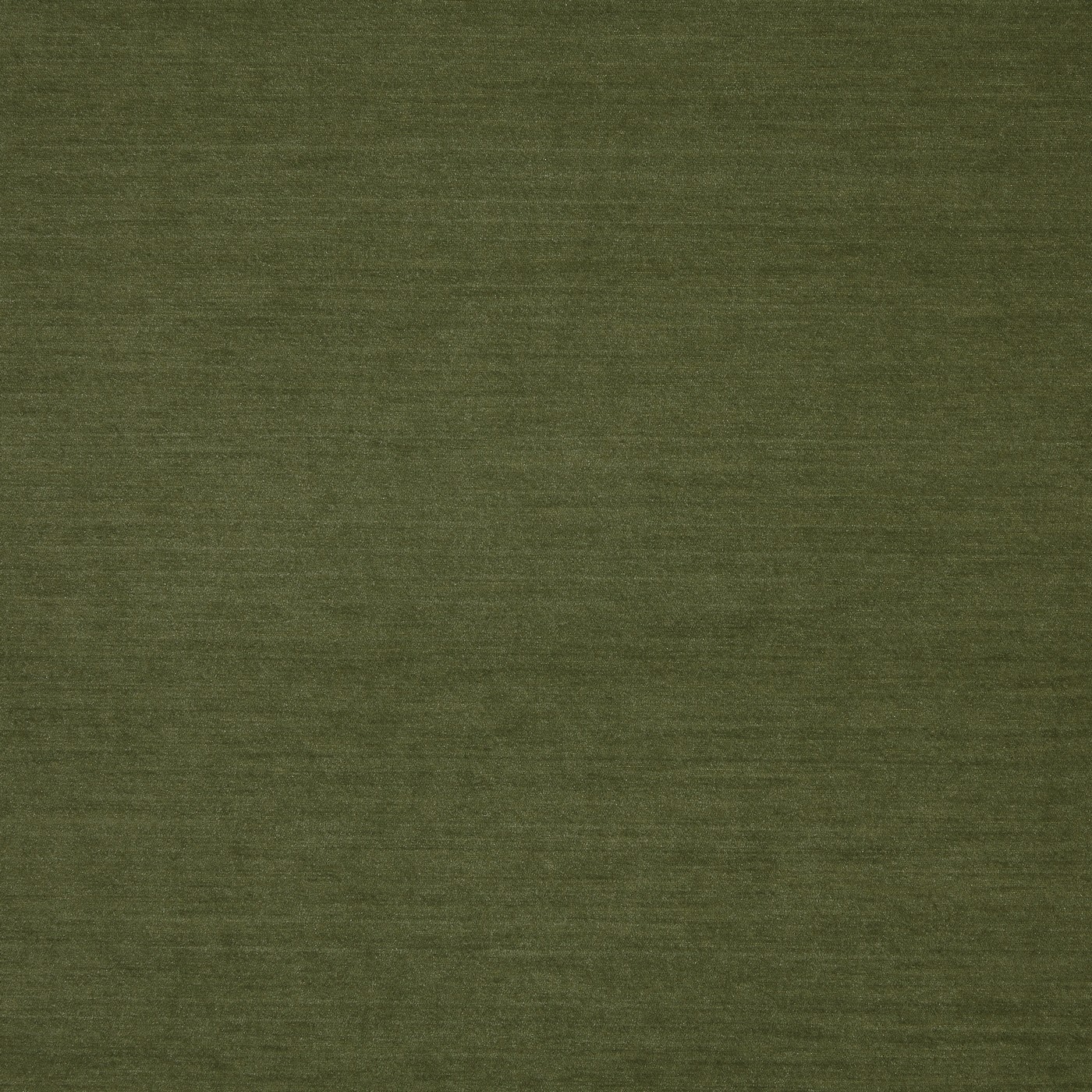 Snowdon Moss