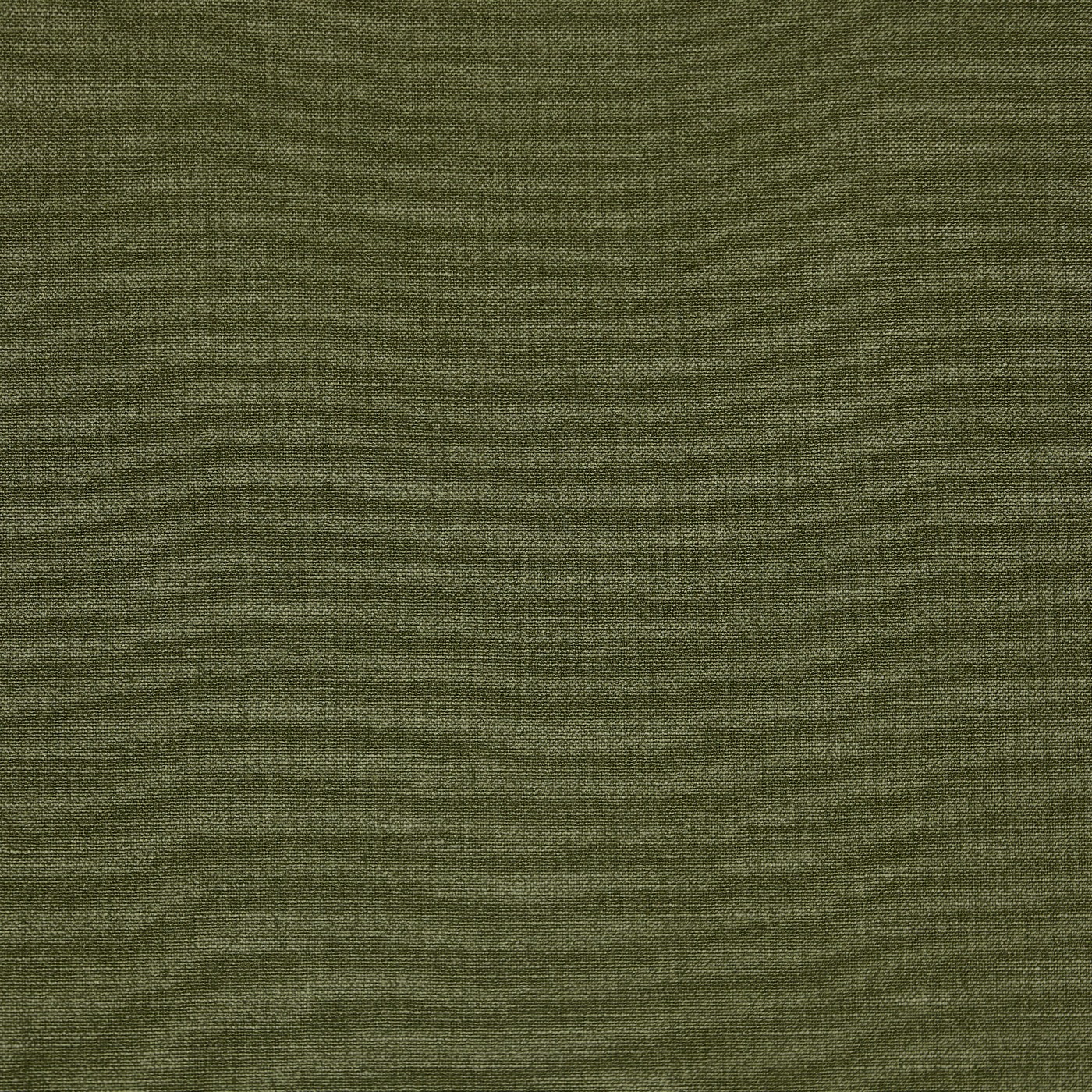 Lisbon Forest