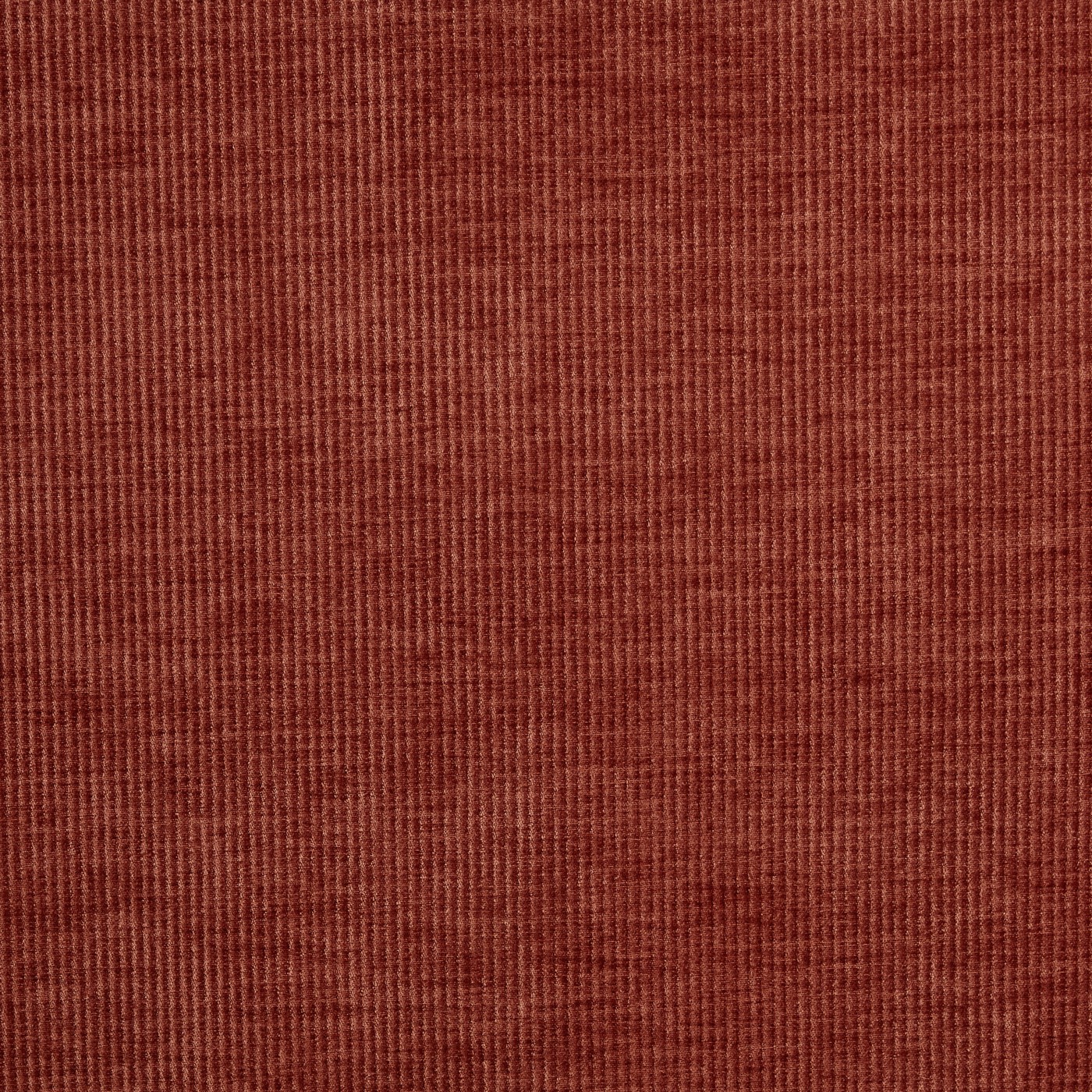 Cord Spice