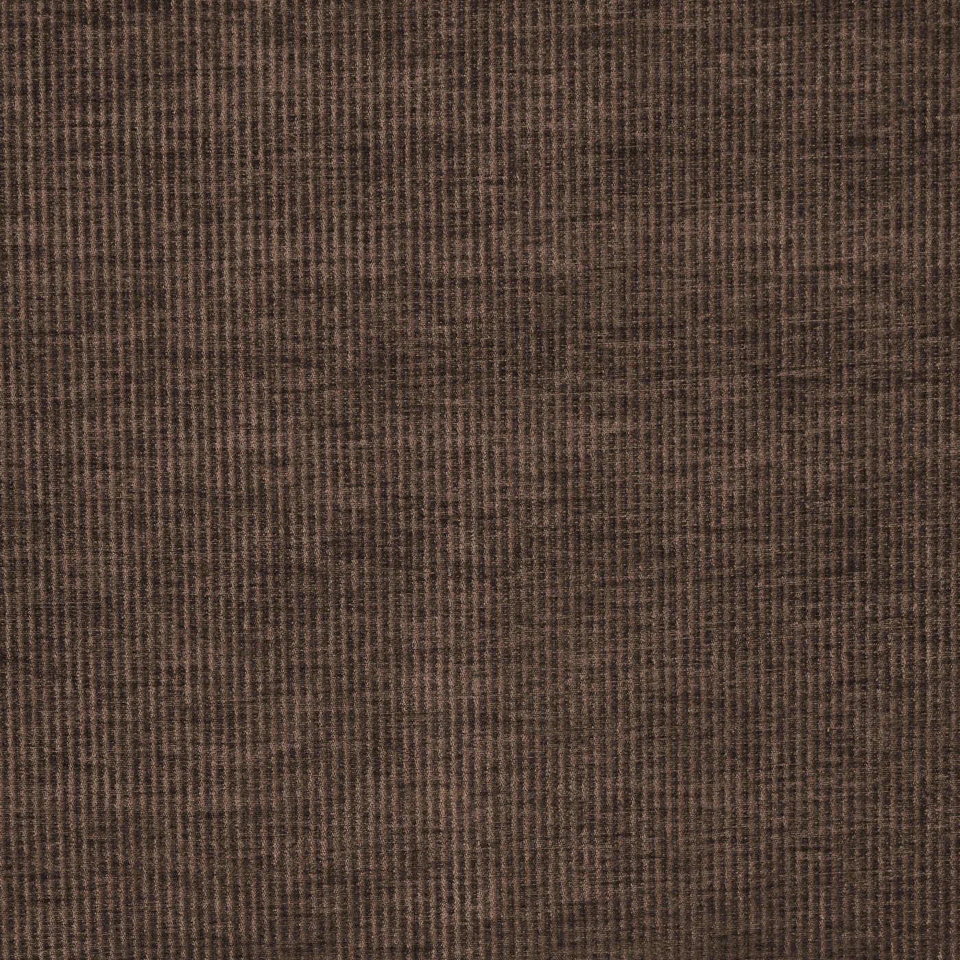 Cord Cocoa