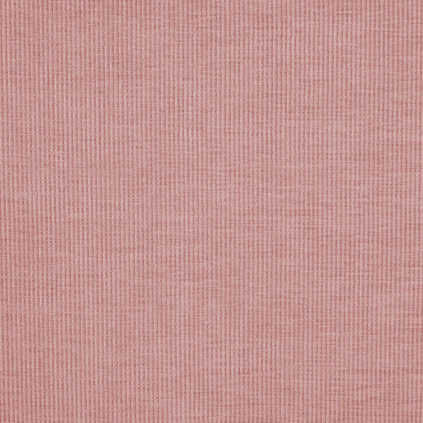 Cord Petal