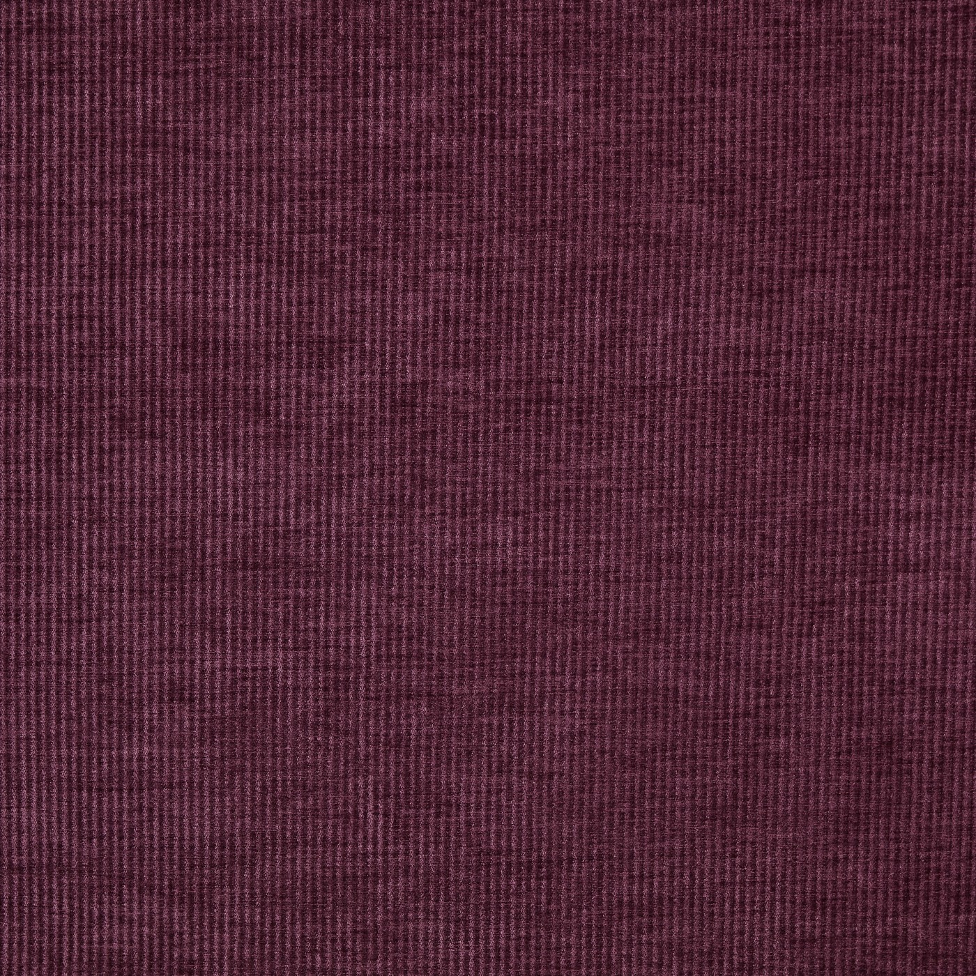 Cord Plum