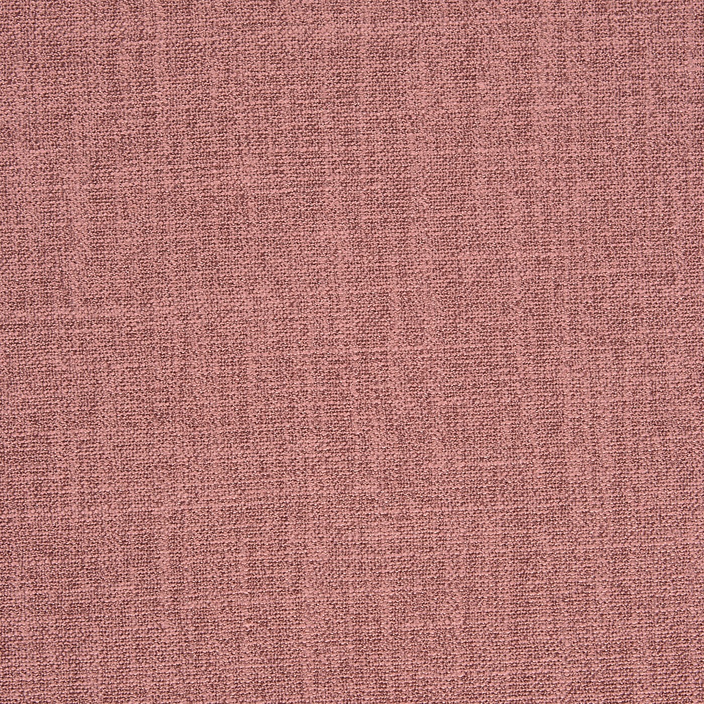 Whisp Rosebud