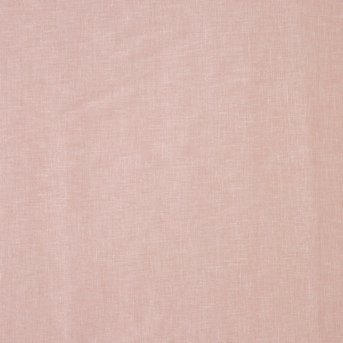 Mist Rose