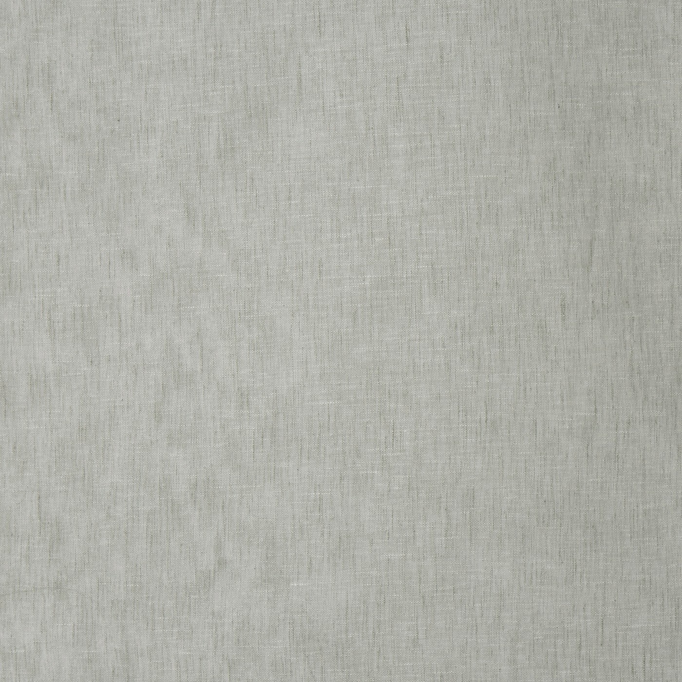 Mist Birch