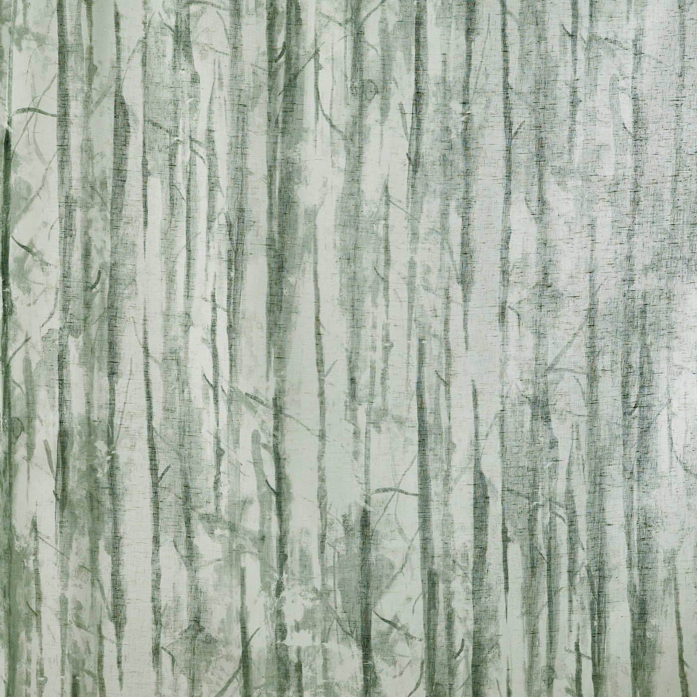 Evergreen Apple