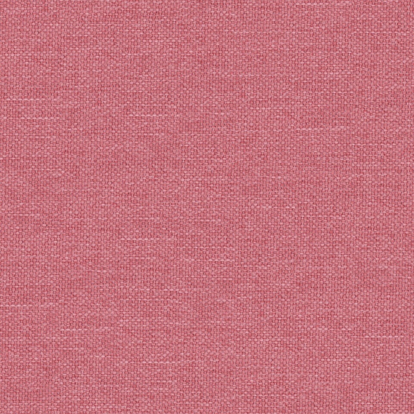 Dawson Peony