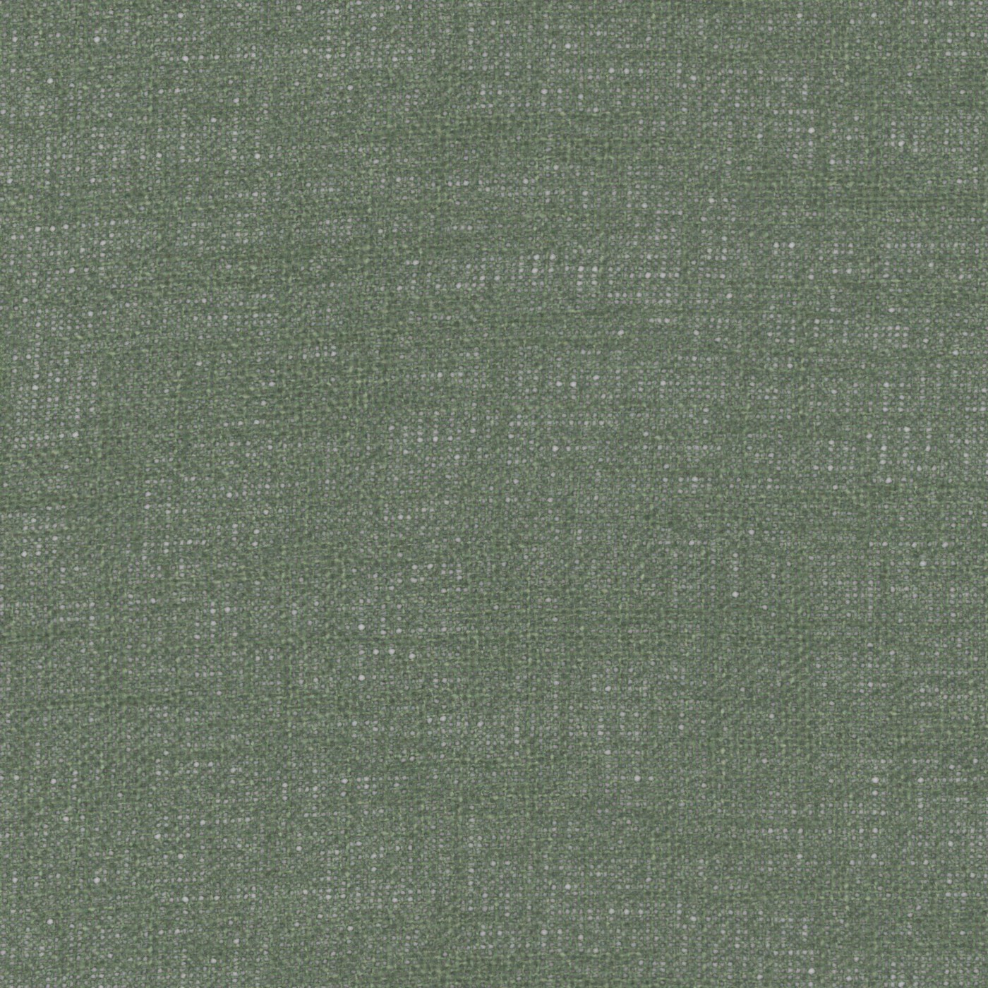 Mistral Olive