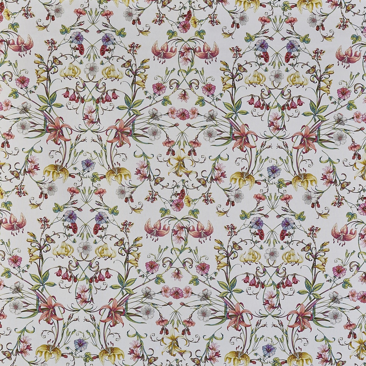 Carlotta Blossom