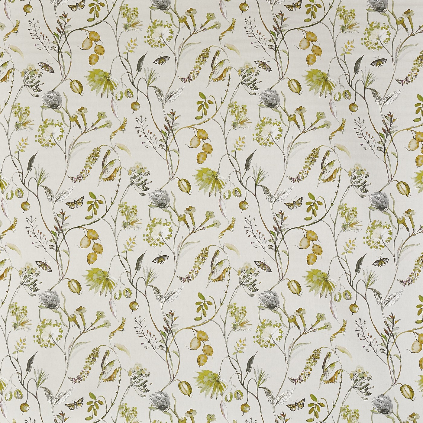 Grove Fennel