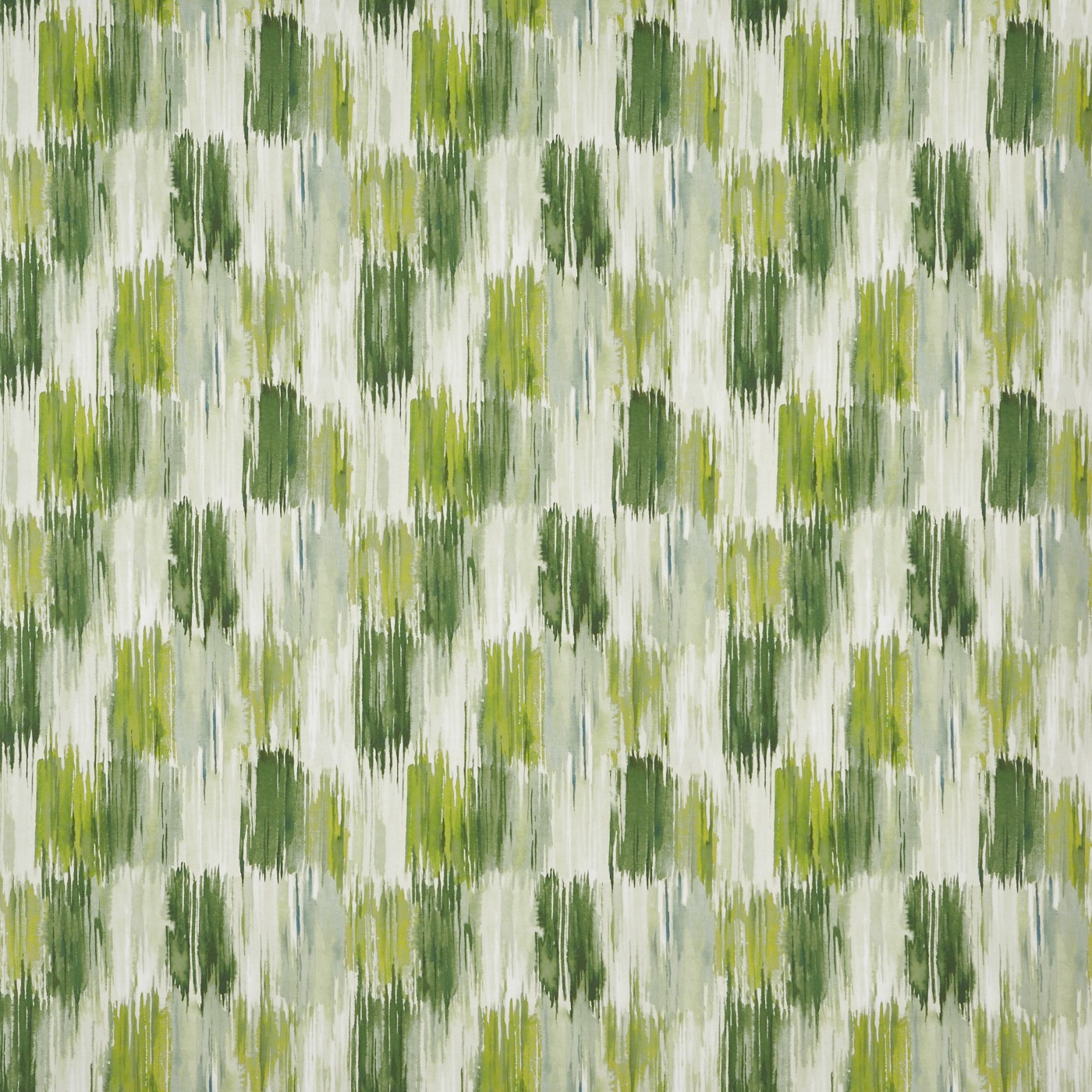 Long Beach Cactus