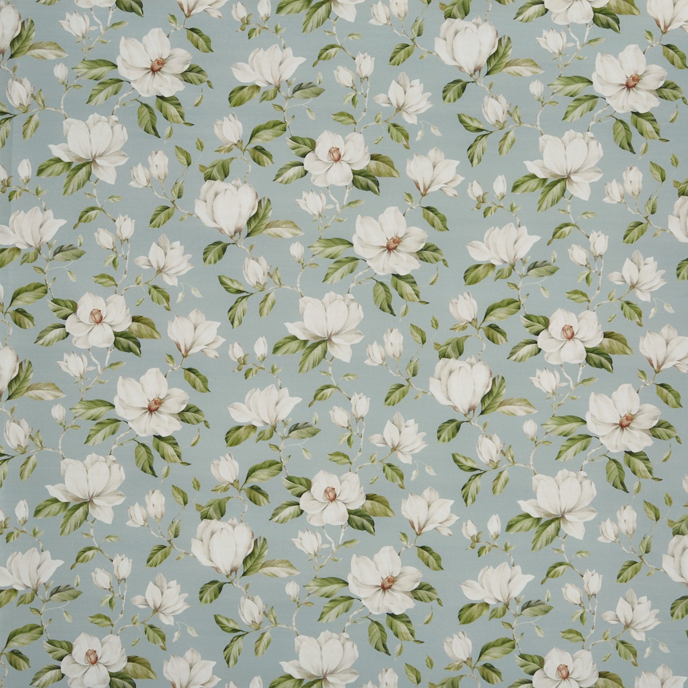Magnolia Porcelain