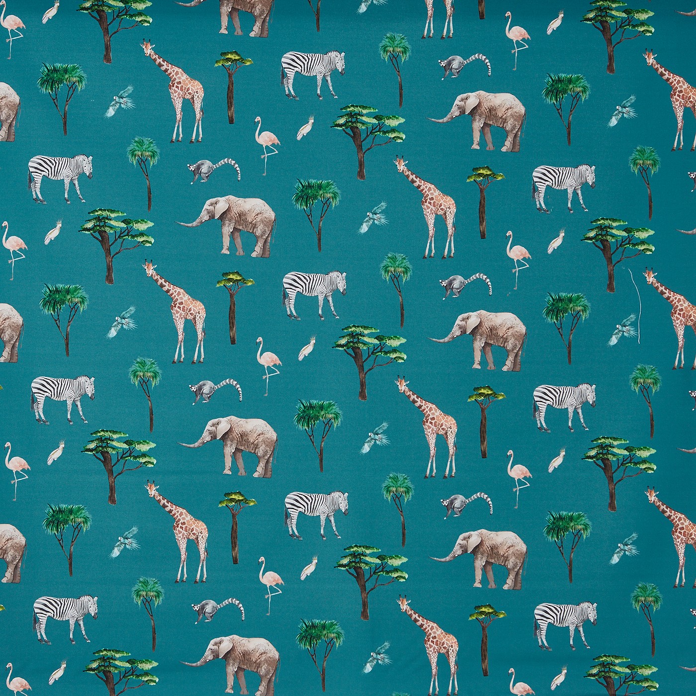 On Safari Reef