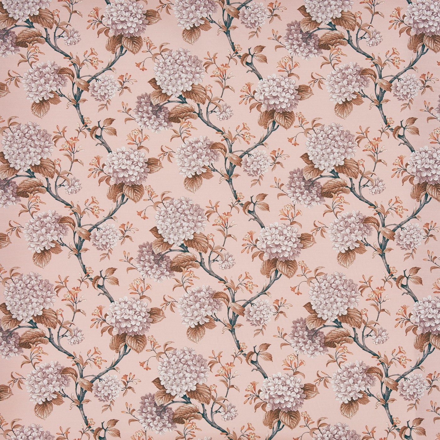 Bouquet Woodrose (pts110)