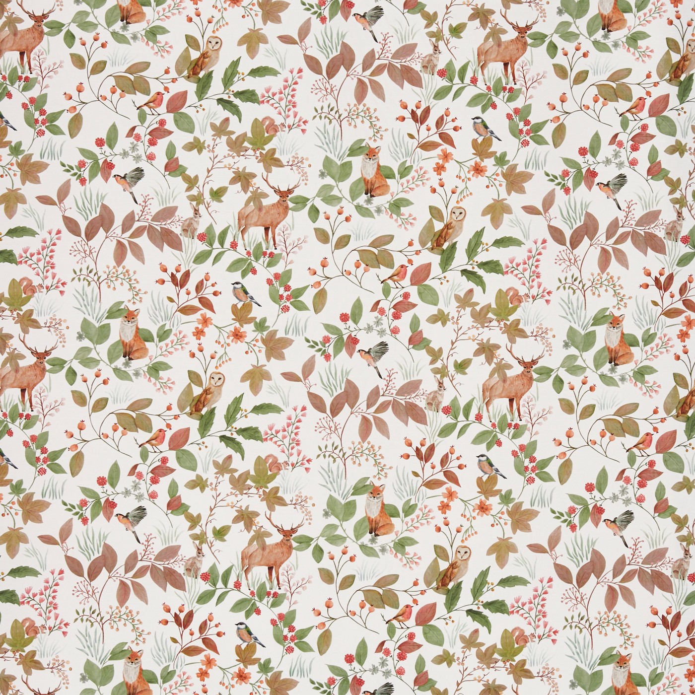 Hedgerow Pear (pts110)