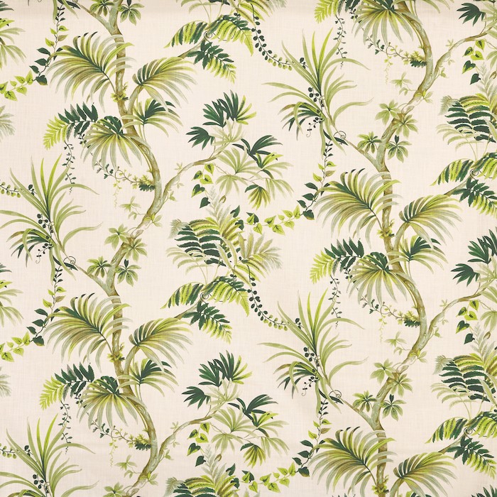 Analeigh Palm (pts108)