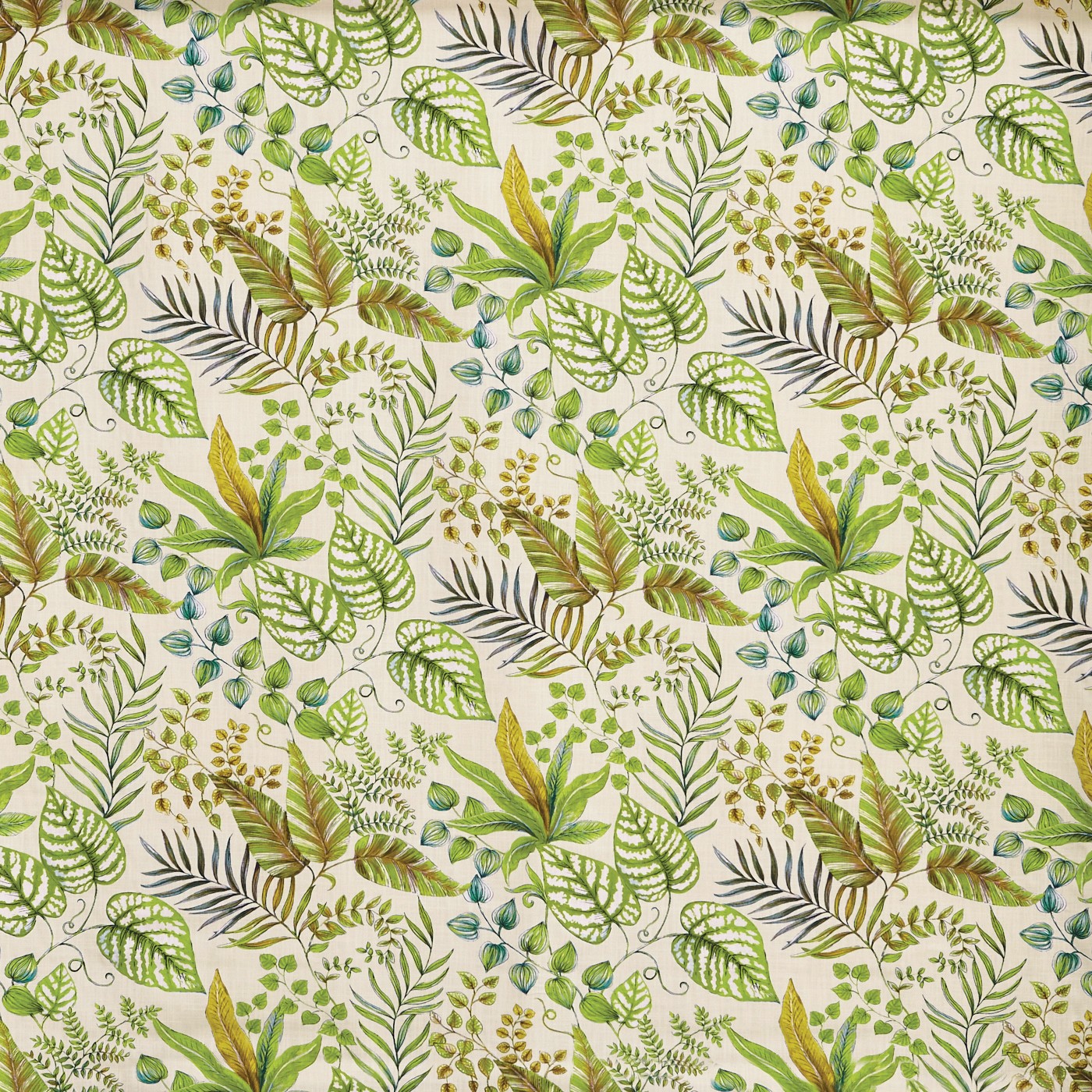 Paloma Palm (pts108)