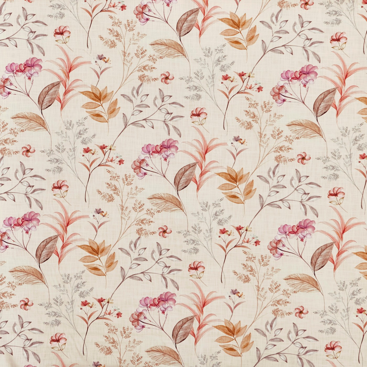 Verbena Rhubarb (pts108)