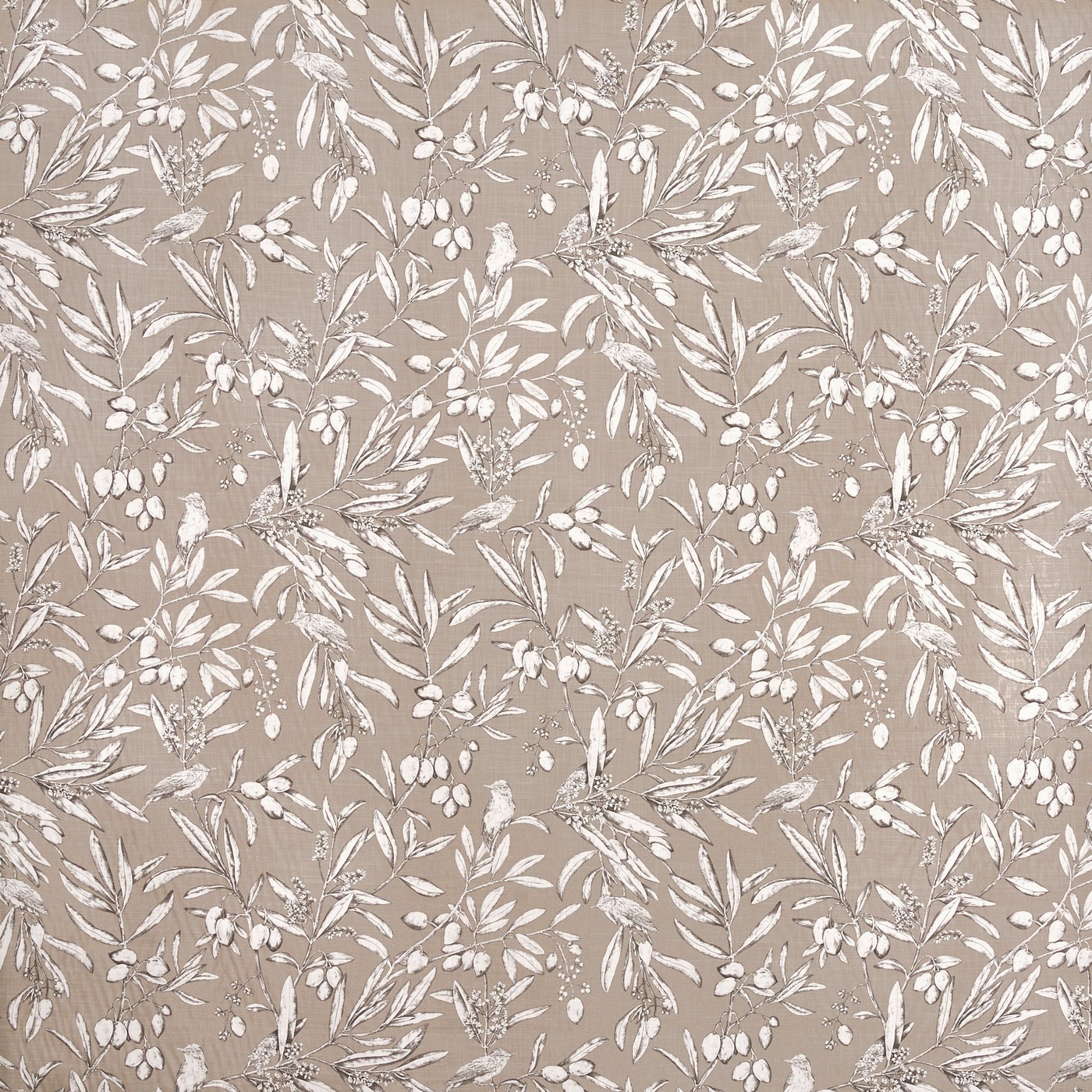 Aviary Parchment (pts108)