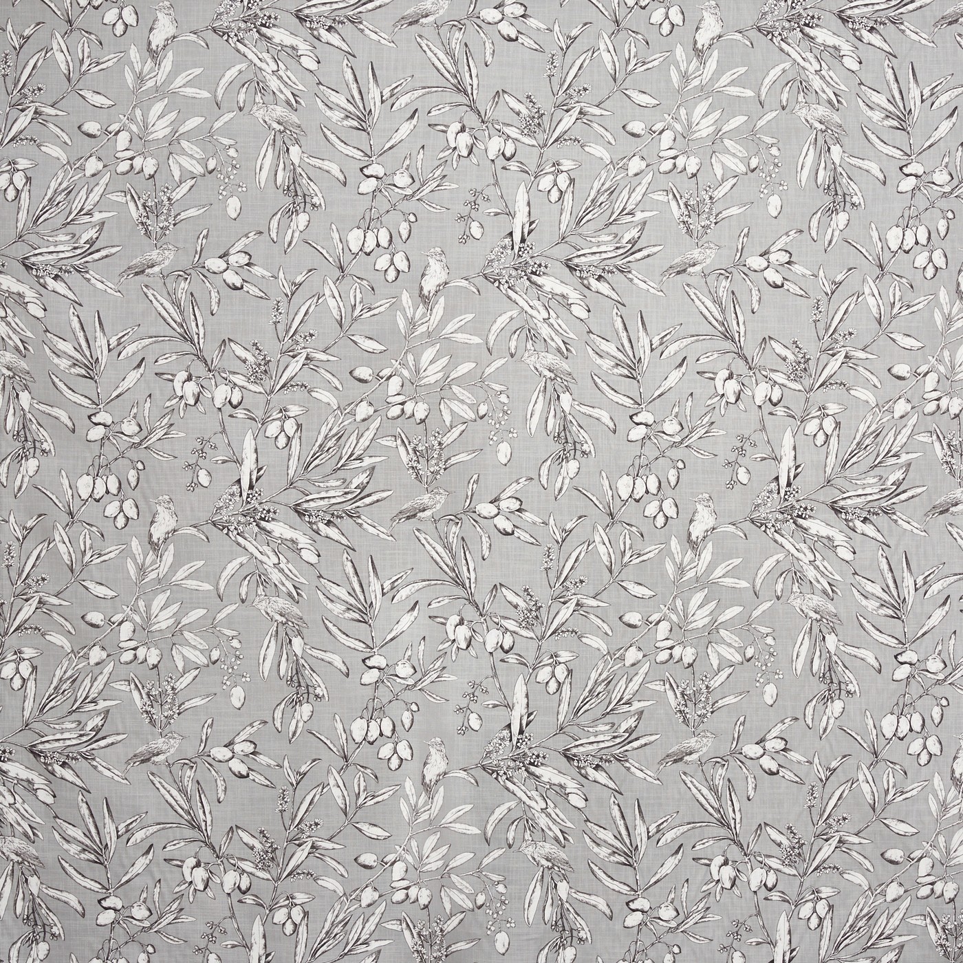 Aviary Frost (pts108)