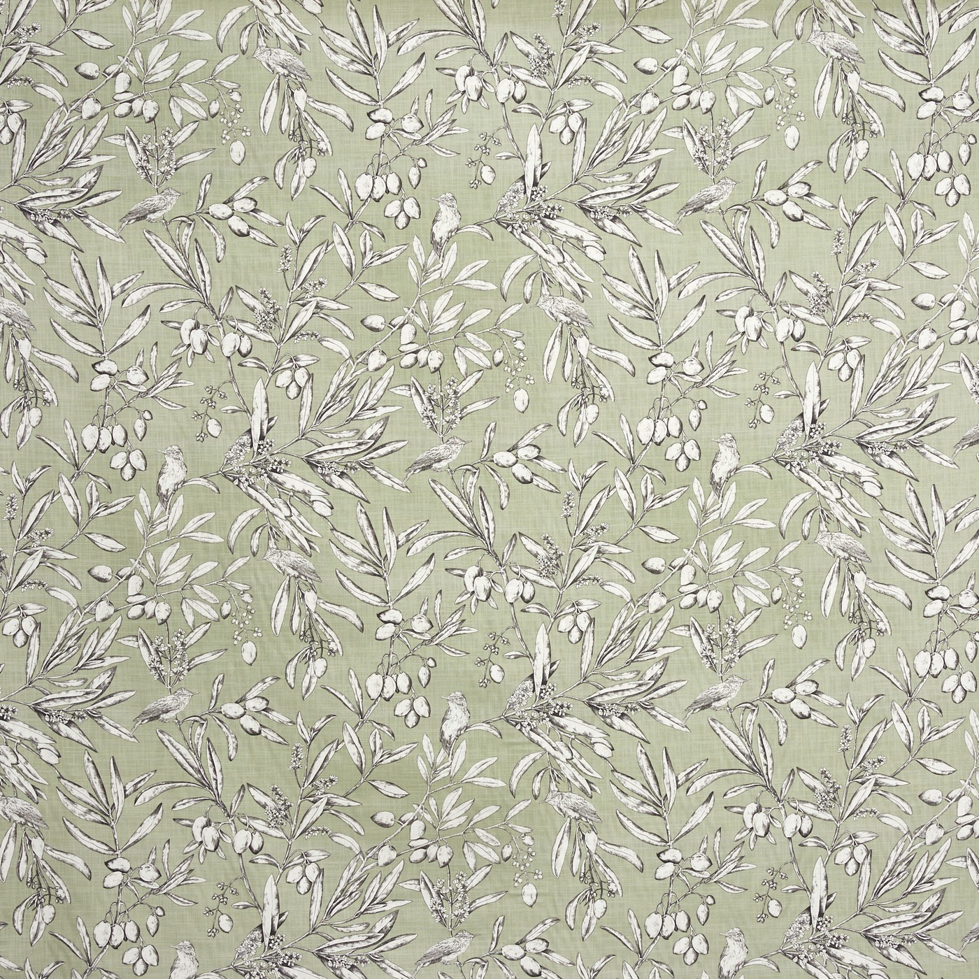 Aviary Apple (pts108)