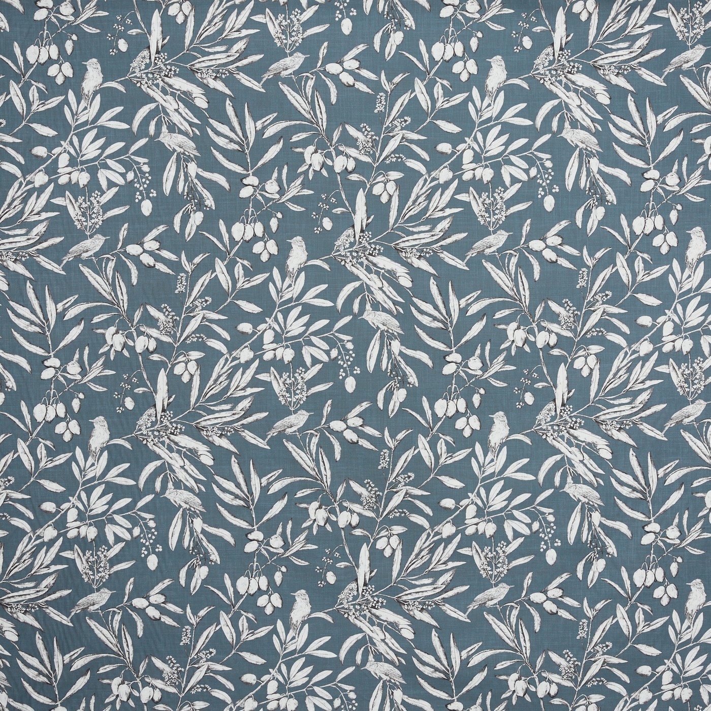 Aviary Bluebell (pts108)