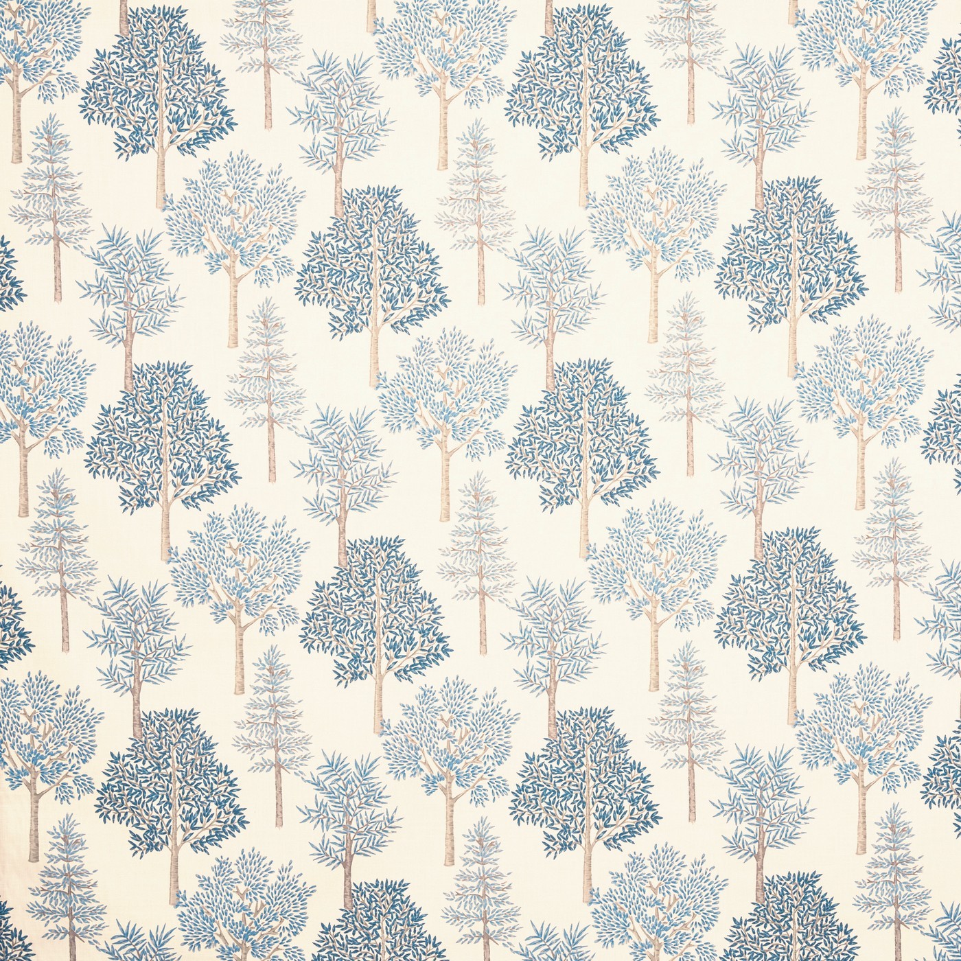 Coppice Bluebell (pts108)