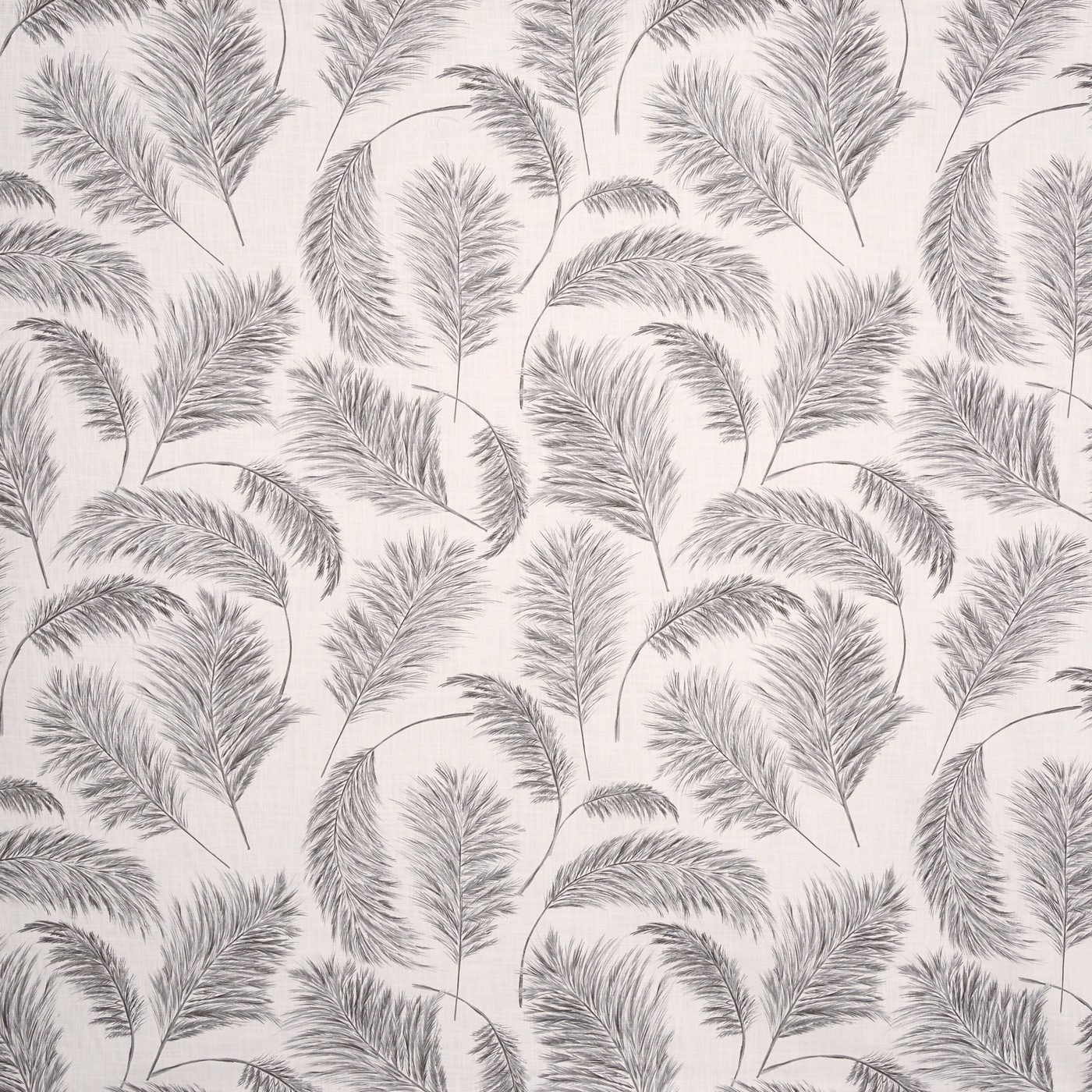 Pampas Grass Frost (pts108)