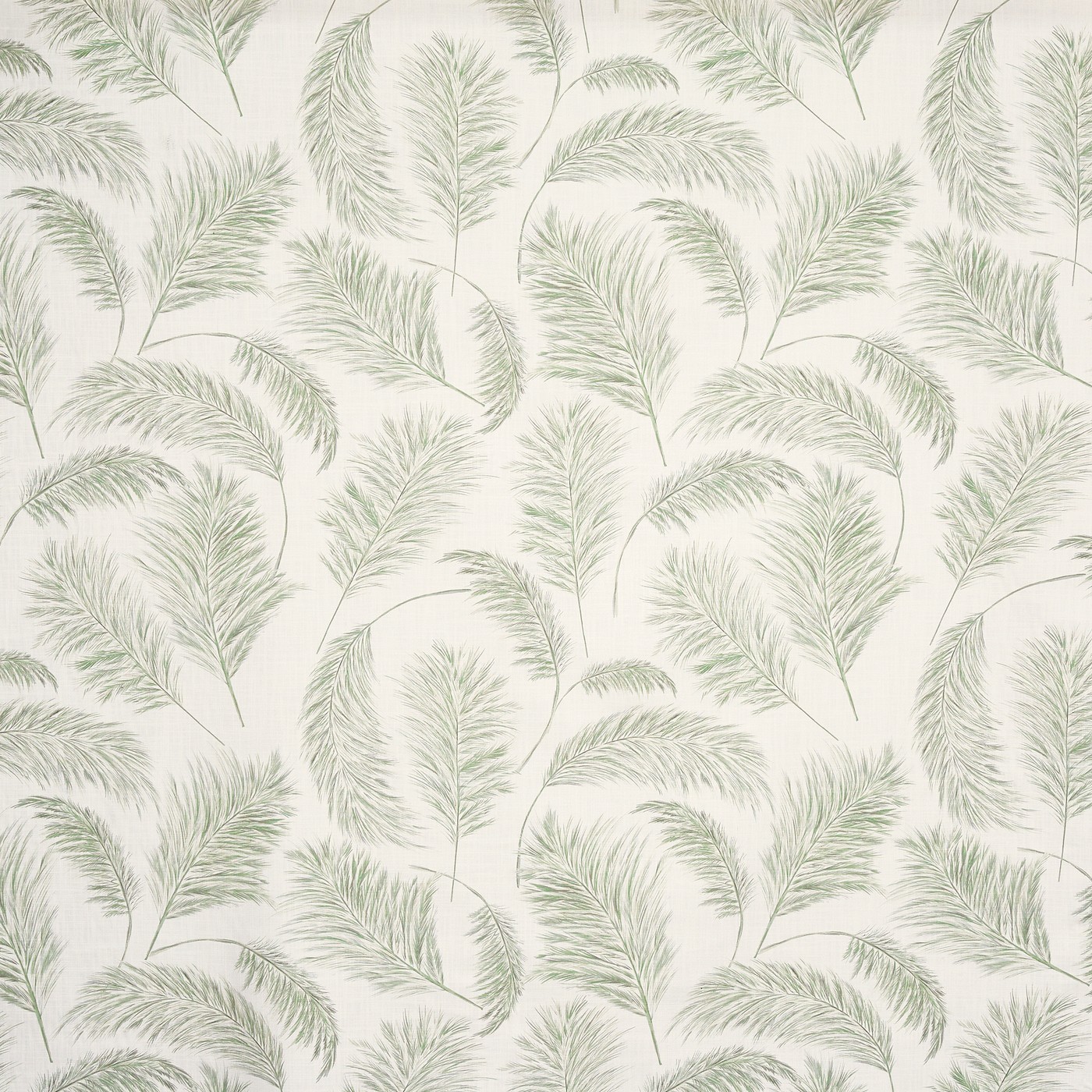 Pampas Grass Apple (pts108)