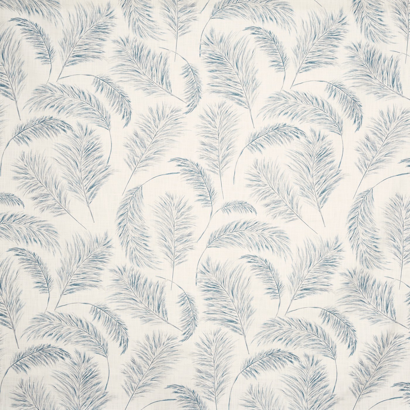 Pampas Grass Bluebell (pts108)