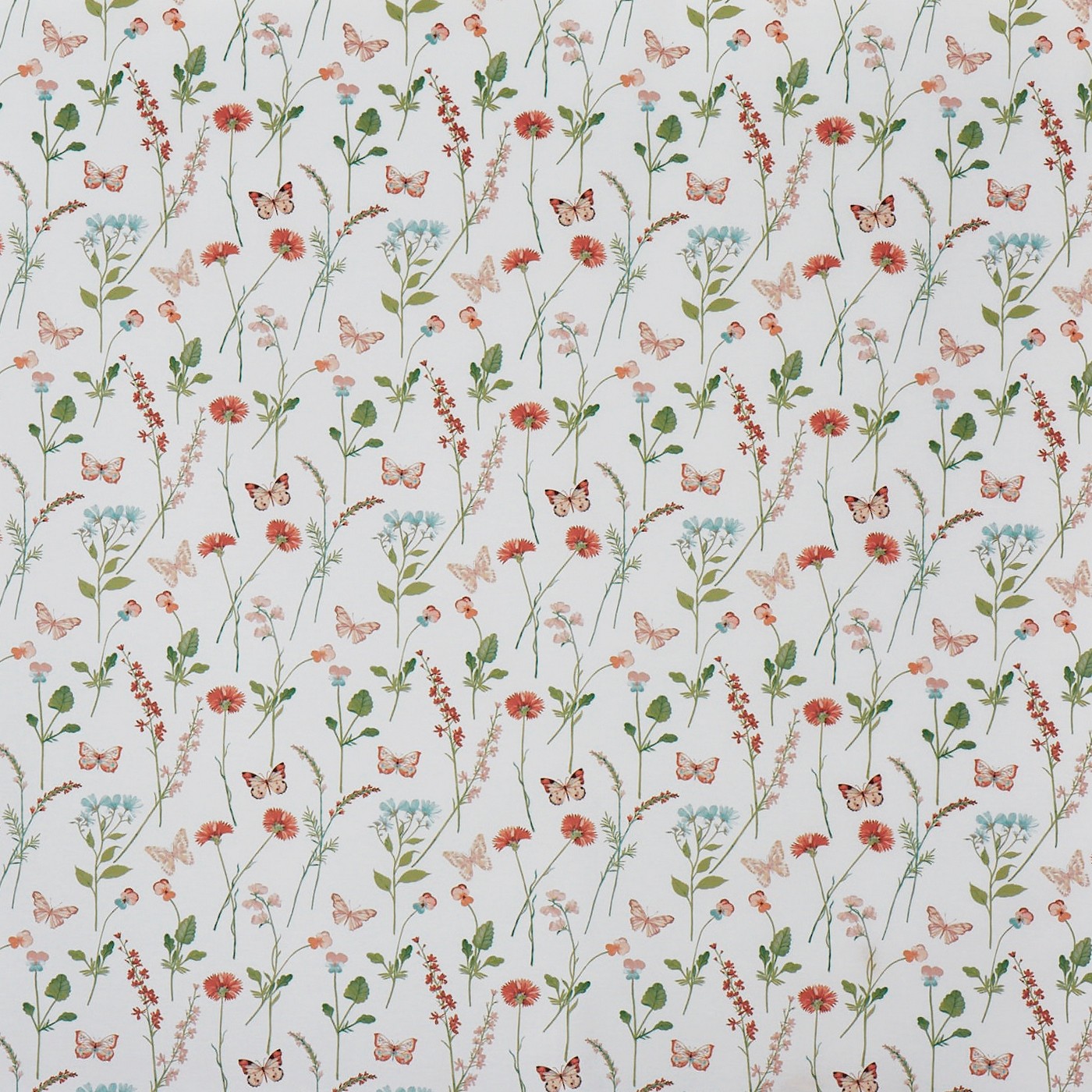 Gracie Apricot