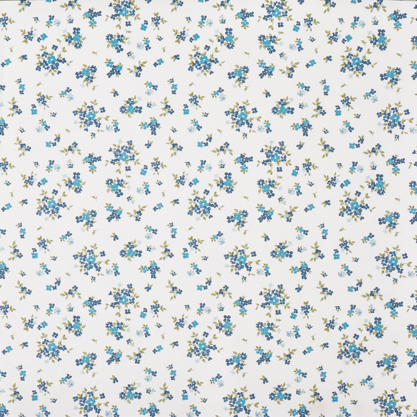 Mavis Cornflower