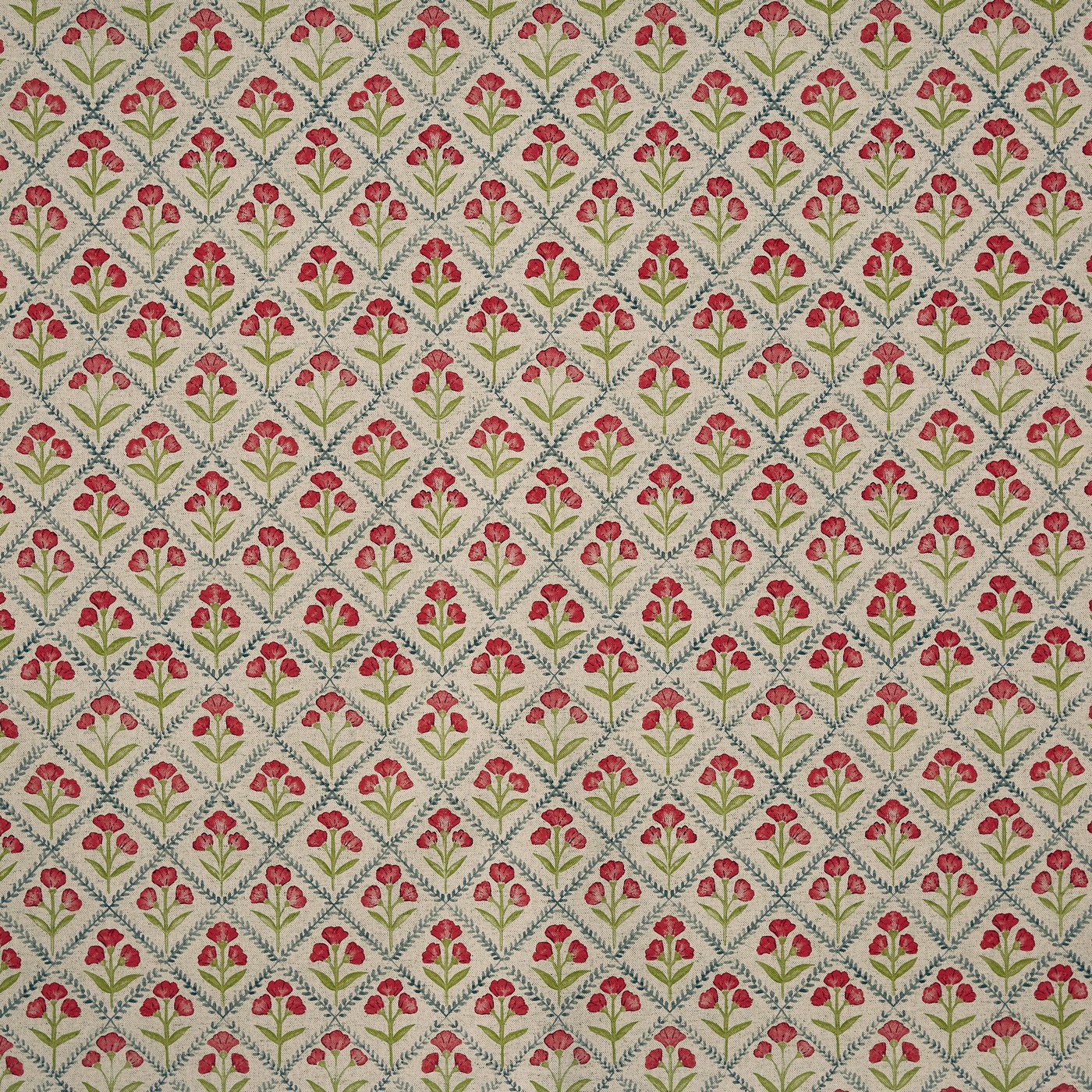 Chatsworth Poppy (pts119)
