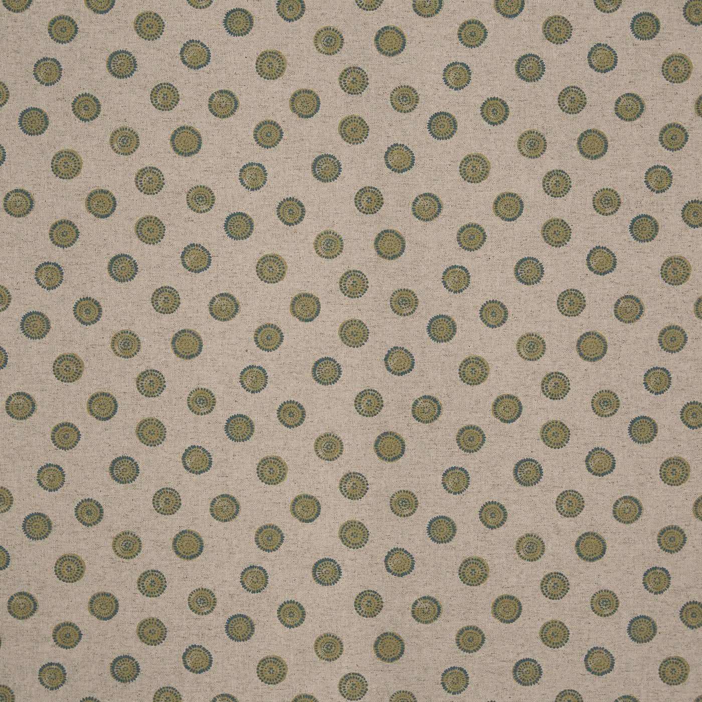 Daisy Olive (pts119)