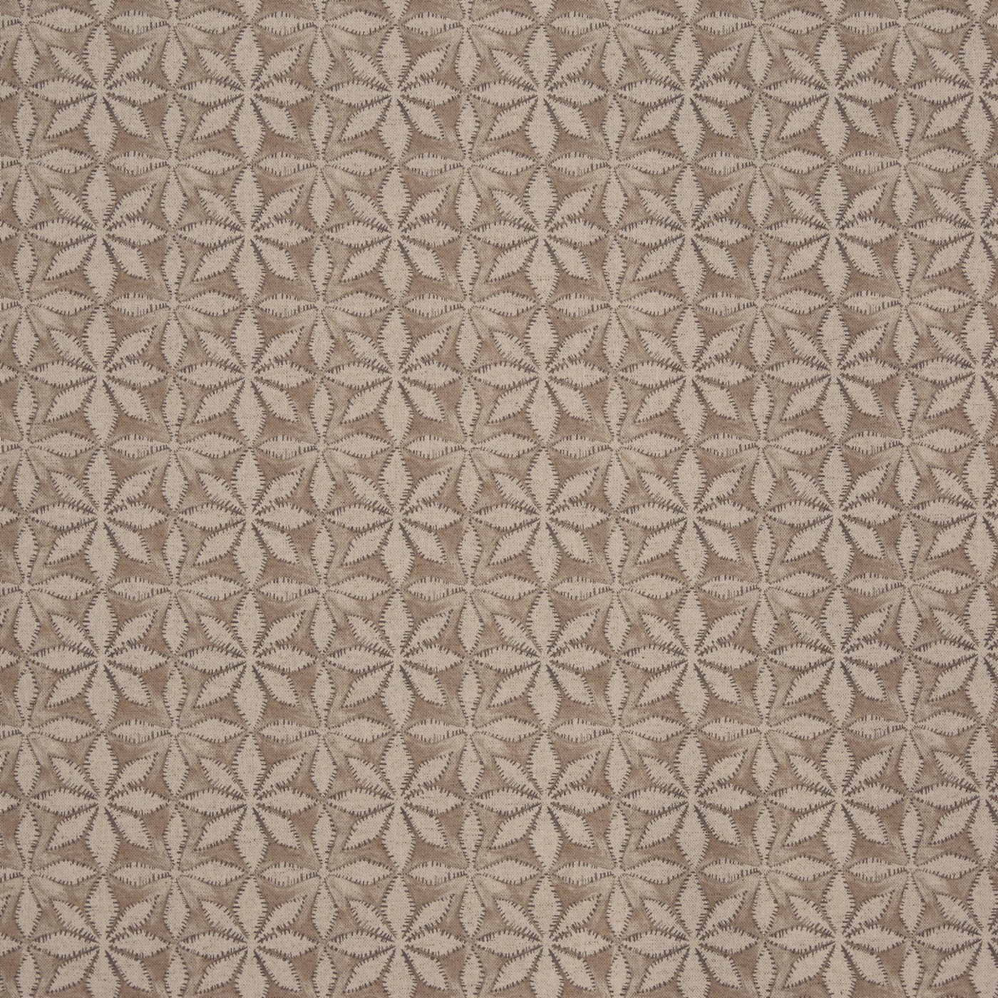 Haddon Nutmeg (pts119)