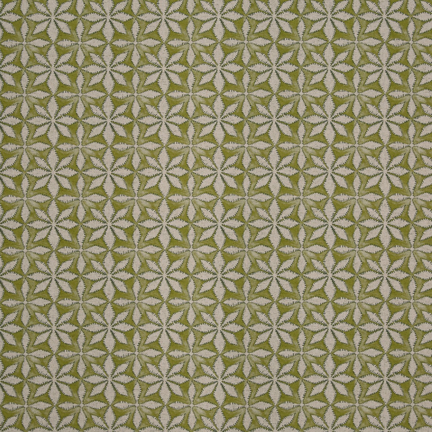 Haddon Apple (pts119)