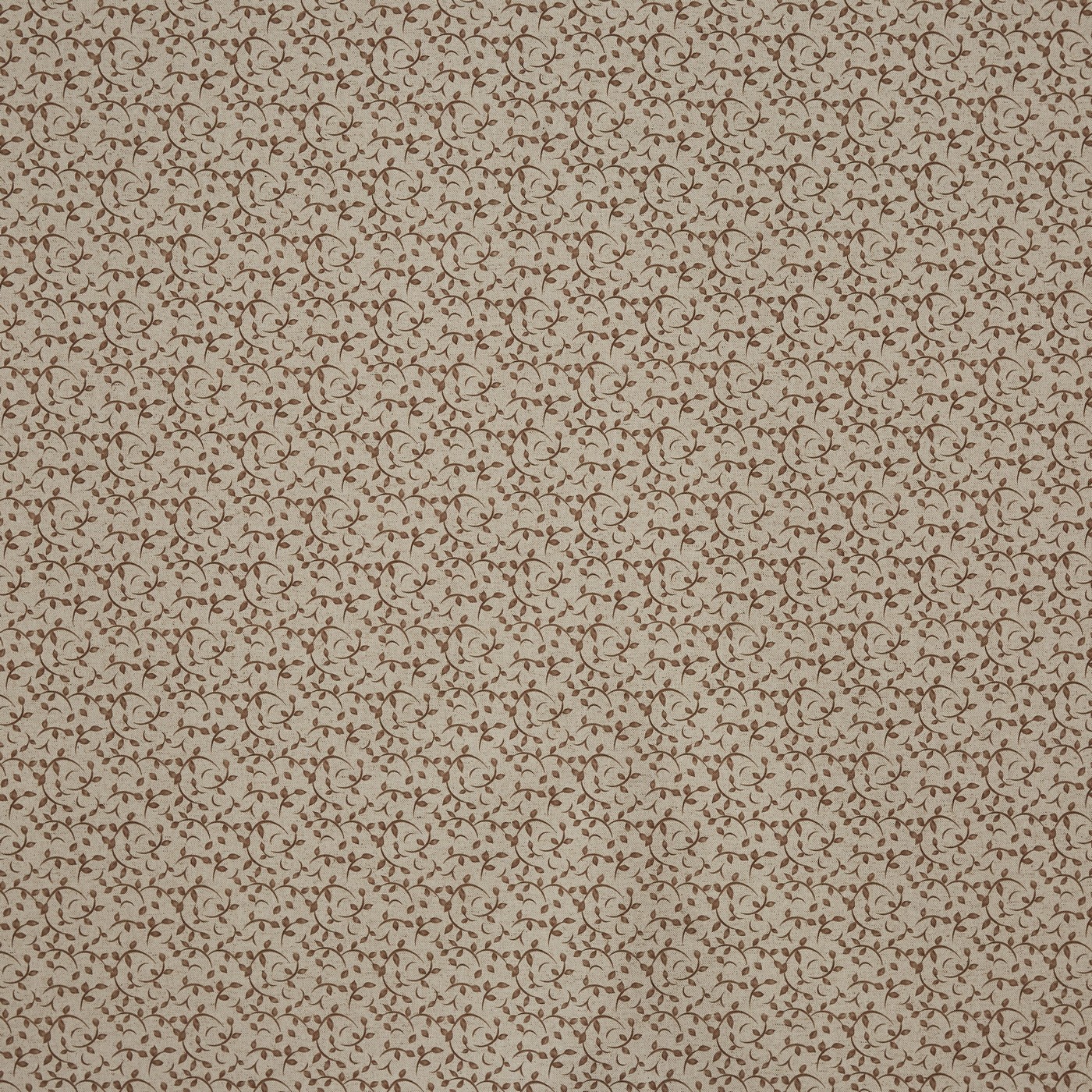 Syon Nutmeg (pts119)