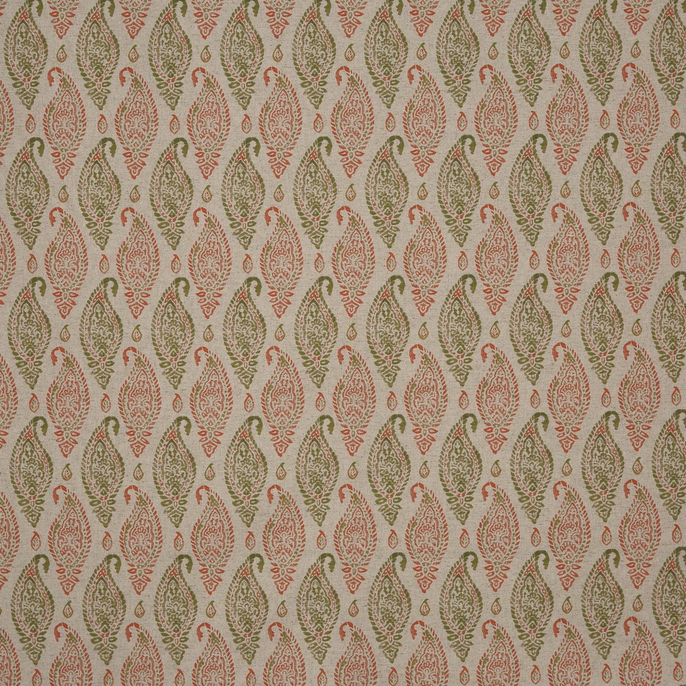 Wollerton Ginger (pts119)