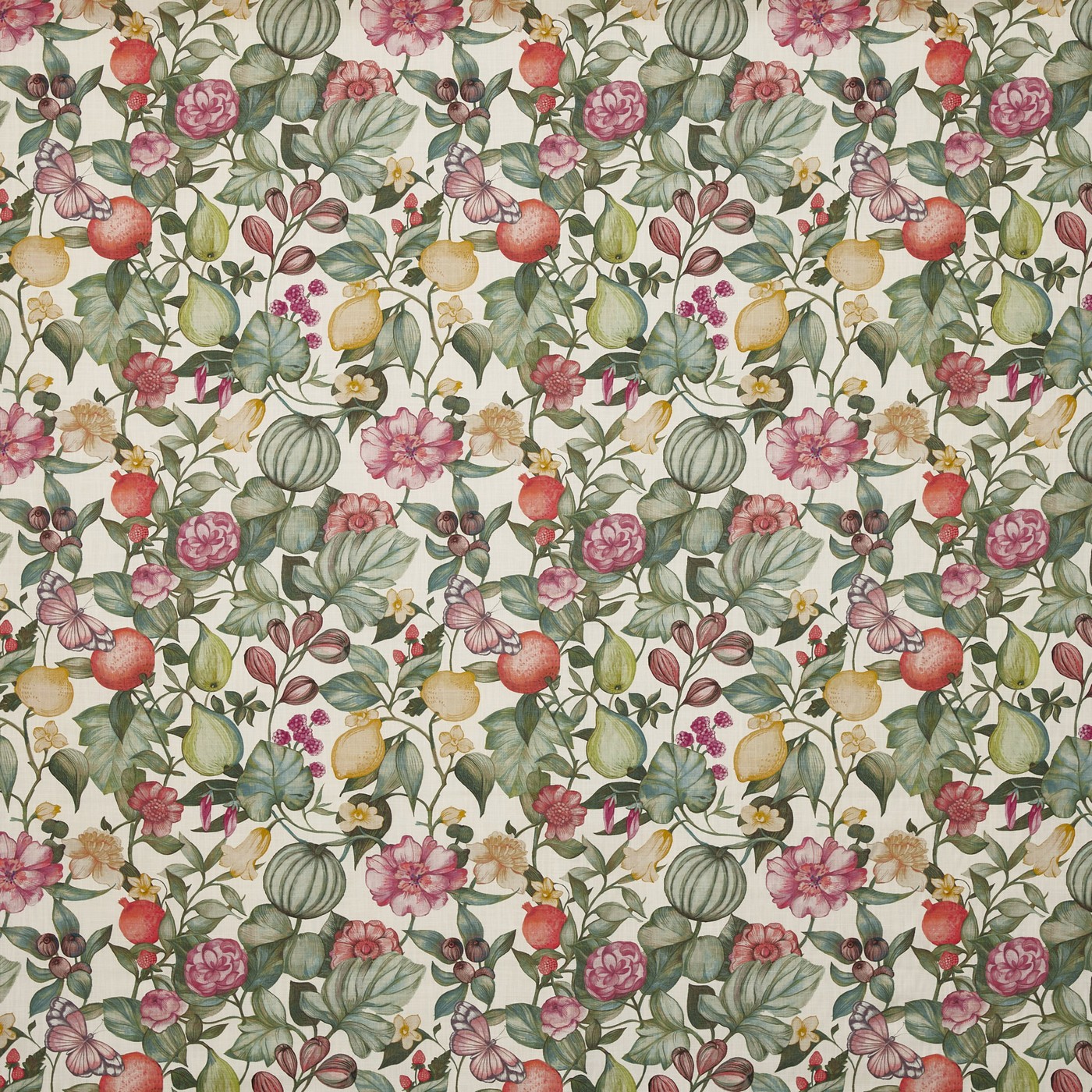 Clemence Meringue (pts108)
