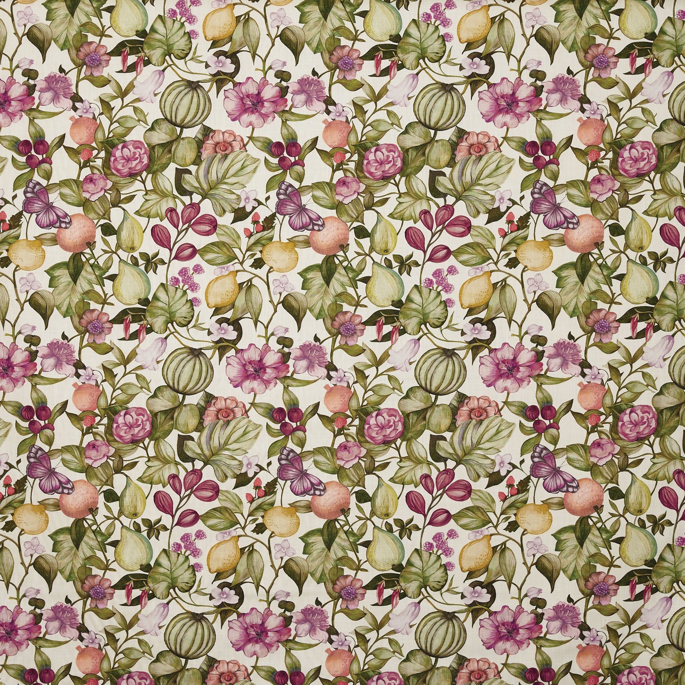 Clemence Wisteria (pts108)