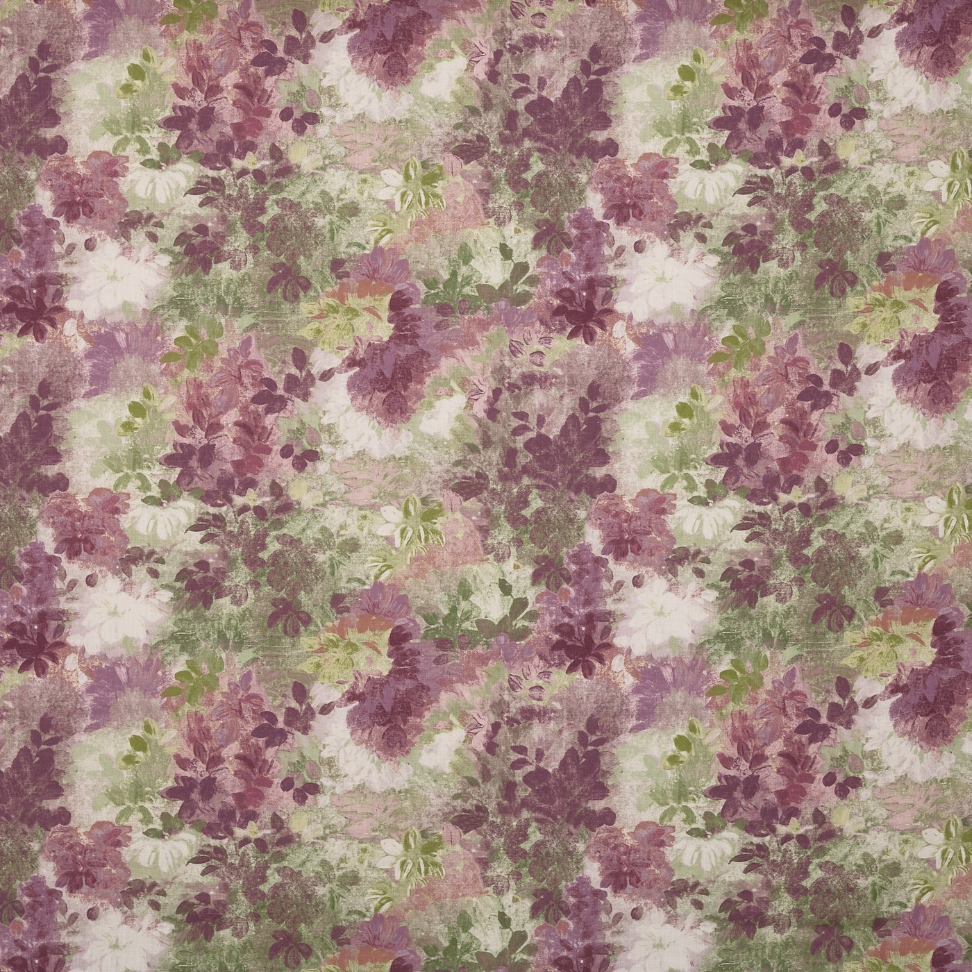 Claude Wisteria (pts108)