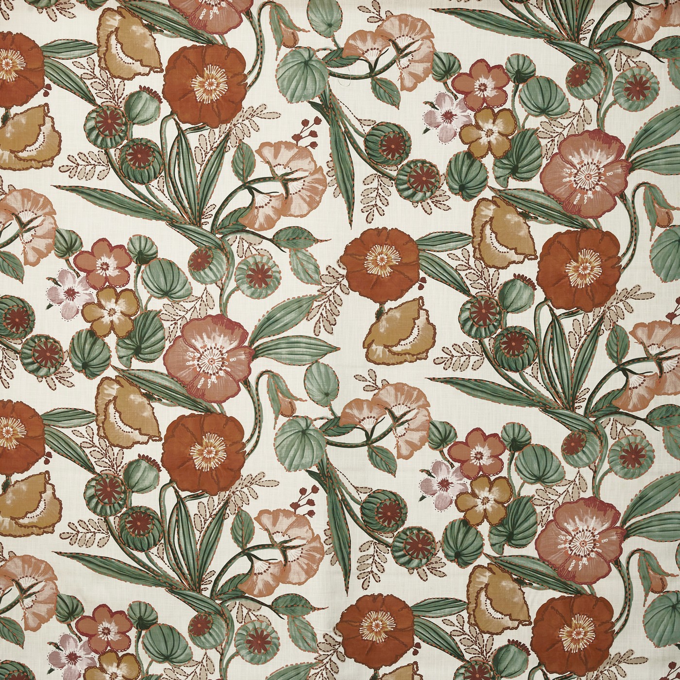 Lucienne Papaya (pts108)