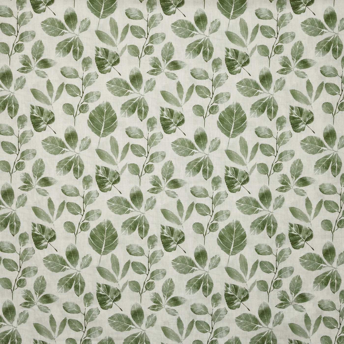 Whimsical Ivy (pts108)